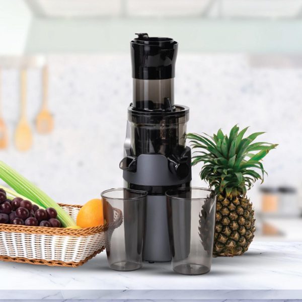 عصاره الفواكه ارشيا Arshia Slow Juicer – 3194
