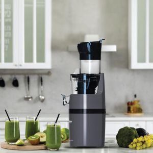 عصاره الفواكه ارشيا Arshia Slow Juicer – 3194